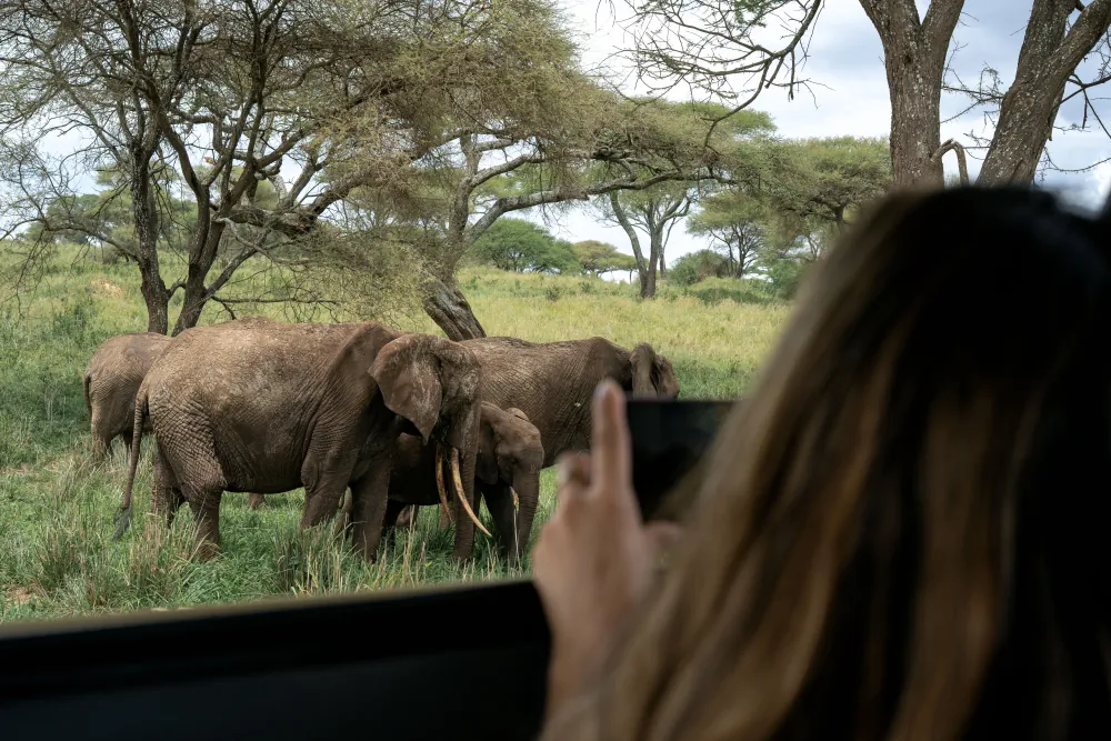 4 Days Northern Serengeti in Tanzania