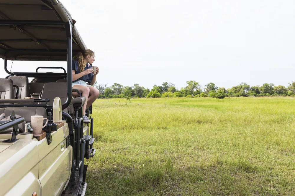 Game drive in a private safari vehicle