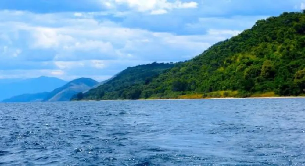 Gombe Stream National Park, gallery photo 1