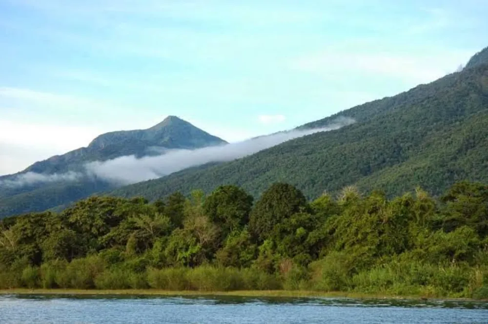 Gombe Stream National Park, gallery photo 2