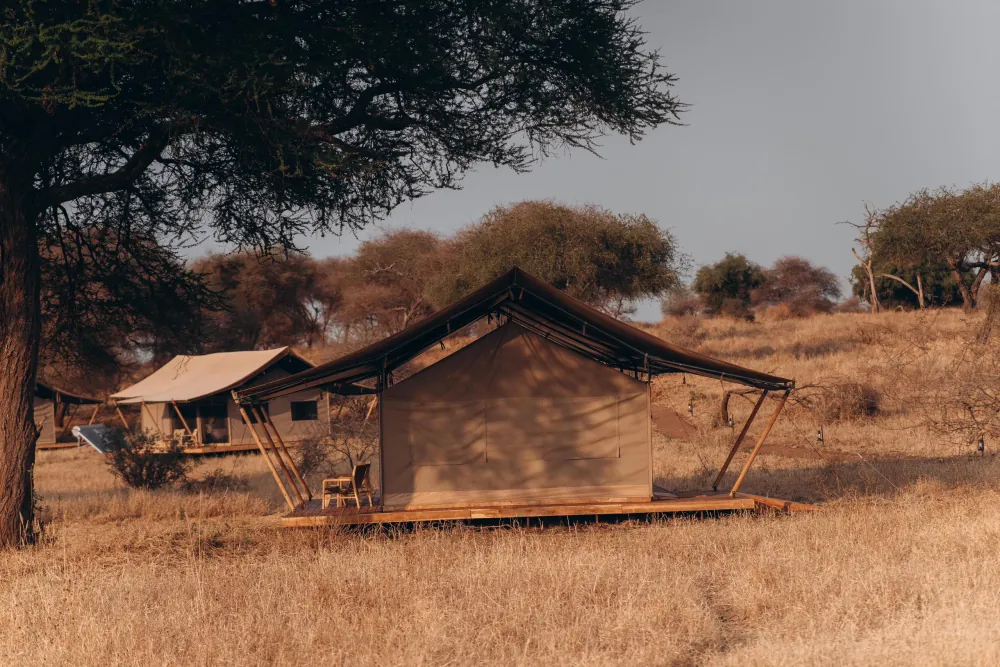 Mid-range safari lodge in Tanzania