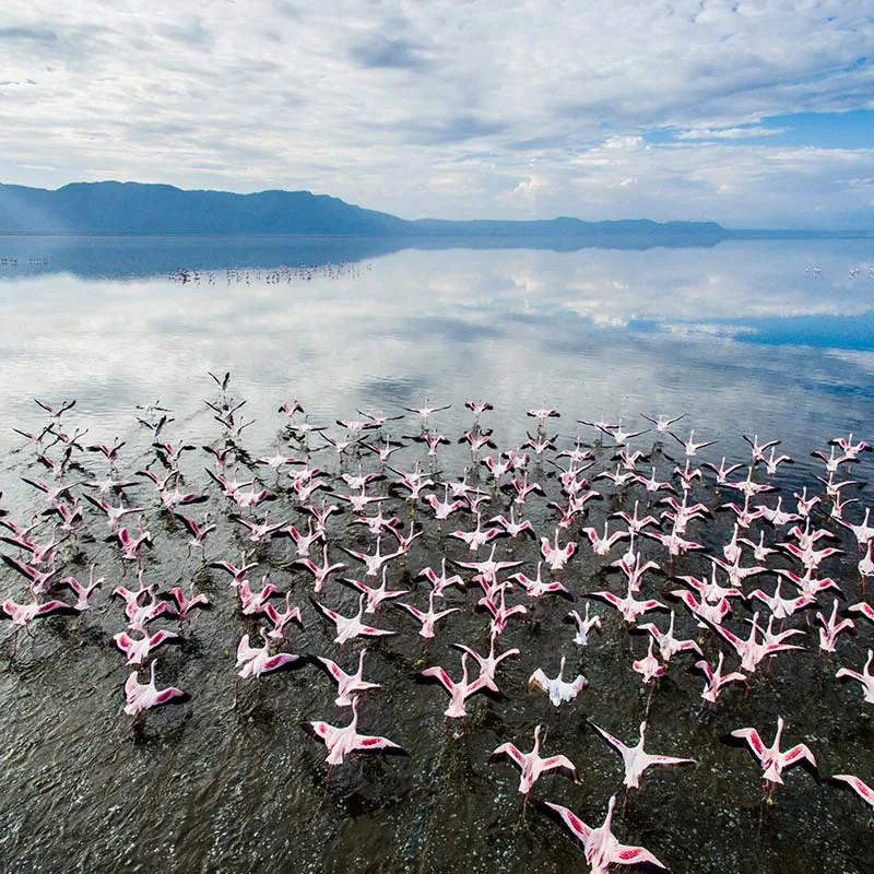 Lake Manyara National Park, gallery photo 2