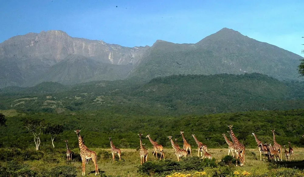 Mount Meru, gallery photo 2