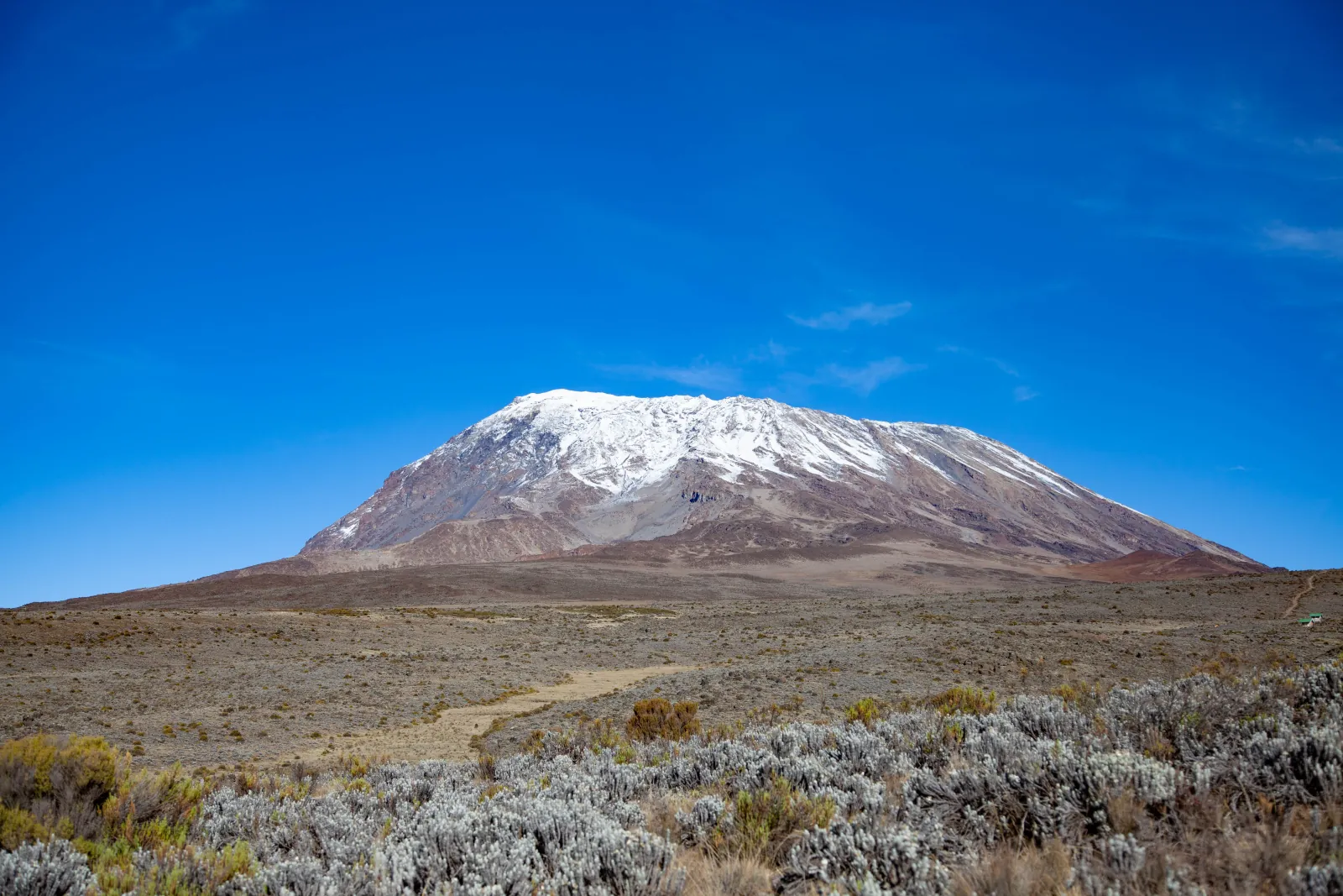 Trekkers on Mount Kilimanjaro