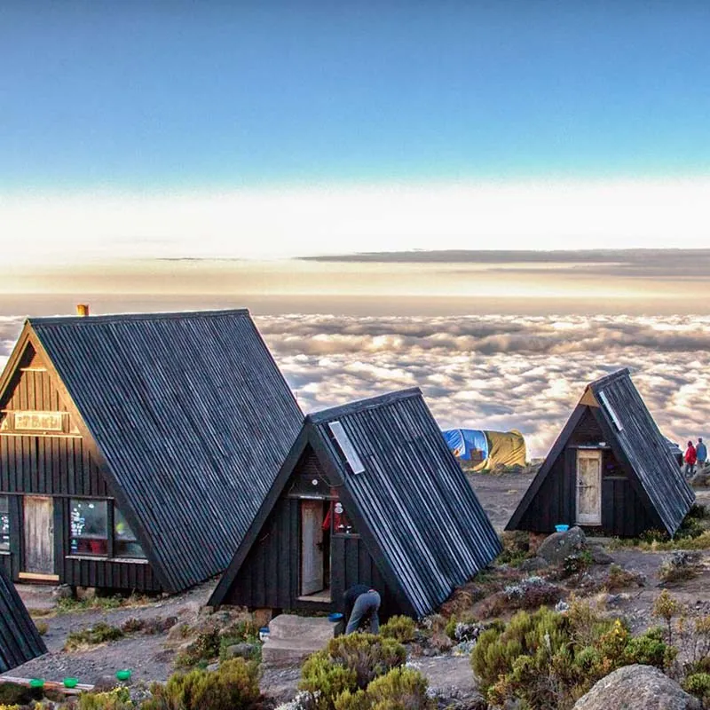 Mountain camp on Kilimanjaro
