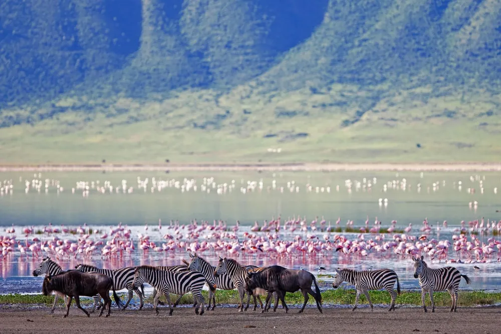 Ngorongoro Conservation Area