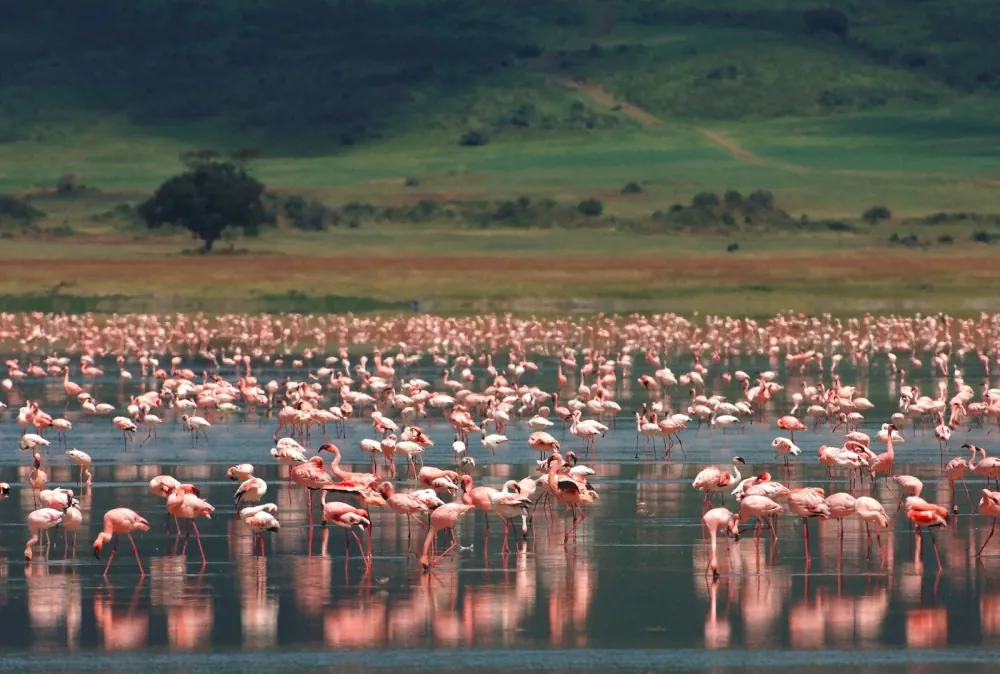 Ngorongoro Conservation Area, gallery photo 1