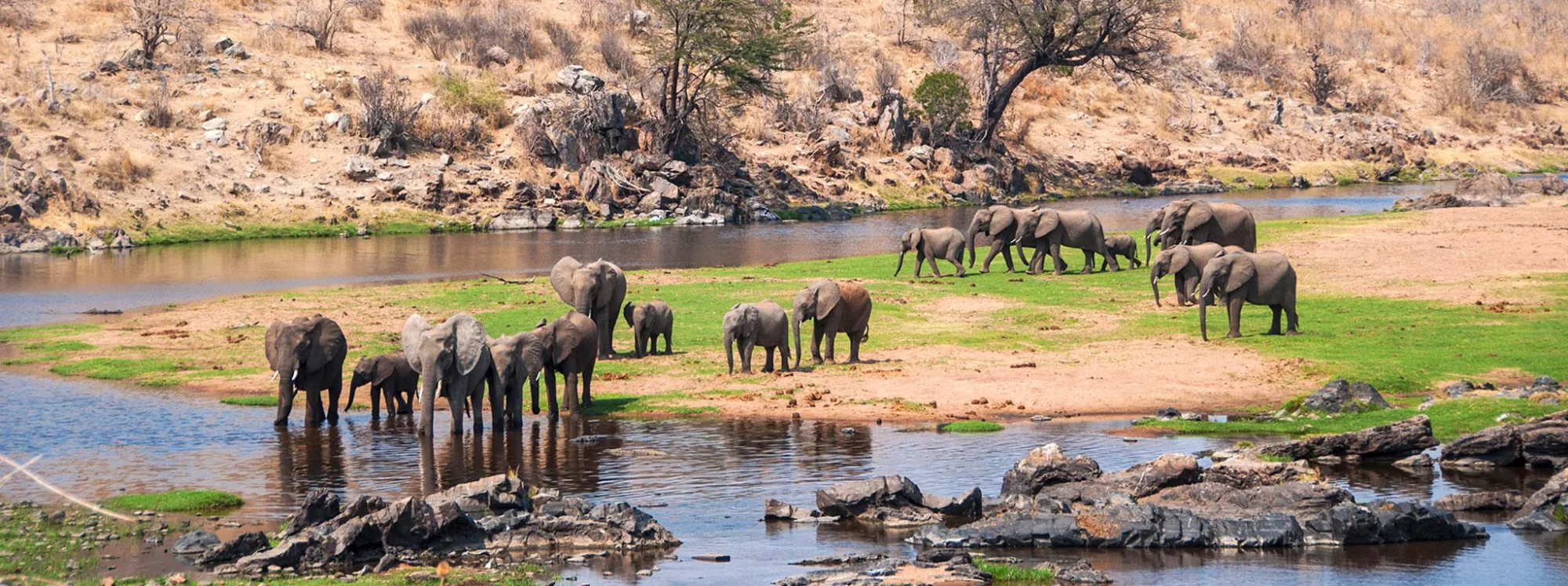 Ruaha National Park — Tanzania’s largest national park, big cats and giant baobabs