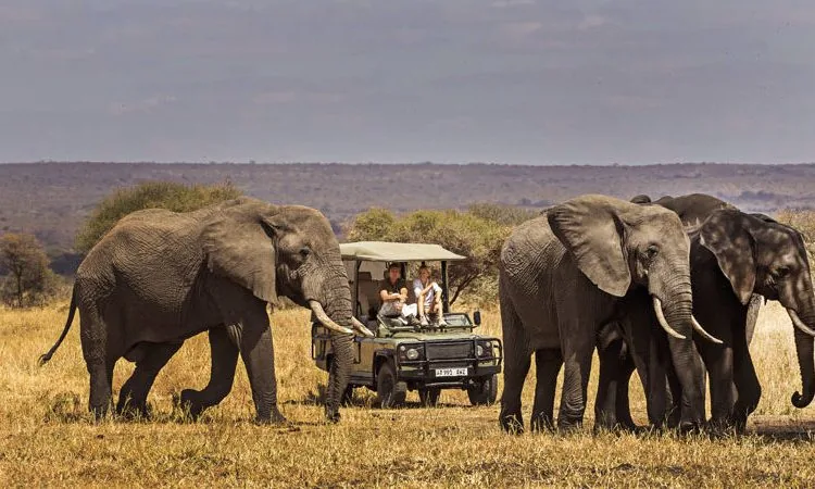 Tarangire National Park, gallery photo 2