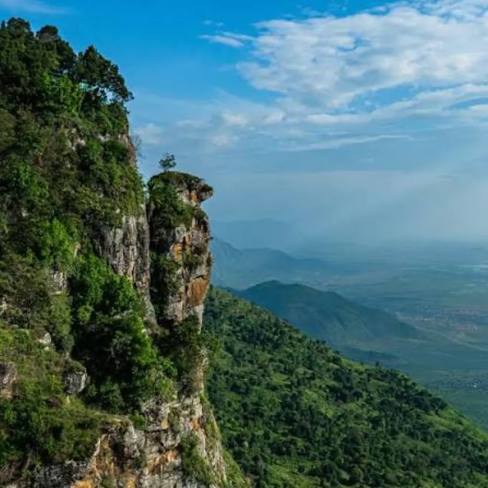 Usambara Mountains, gallery photo 2
