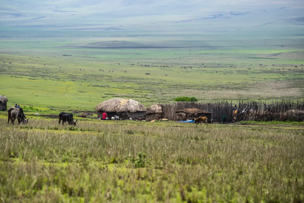 When to visit Tanzania